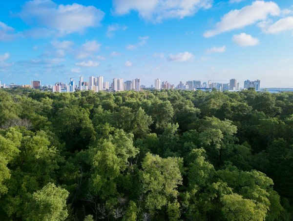 L'accompagnement personnalisé à l'IRSS : clé de la réussite des étudiants