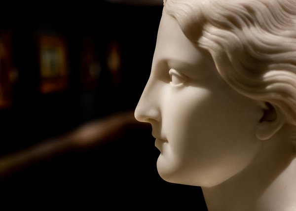 Découvrez les fleurs de chanvre haut de gamme avec weed side story