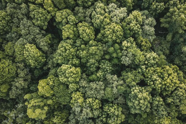 Pourquoi utiliser une combinaison de travail: confort et sécurité